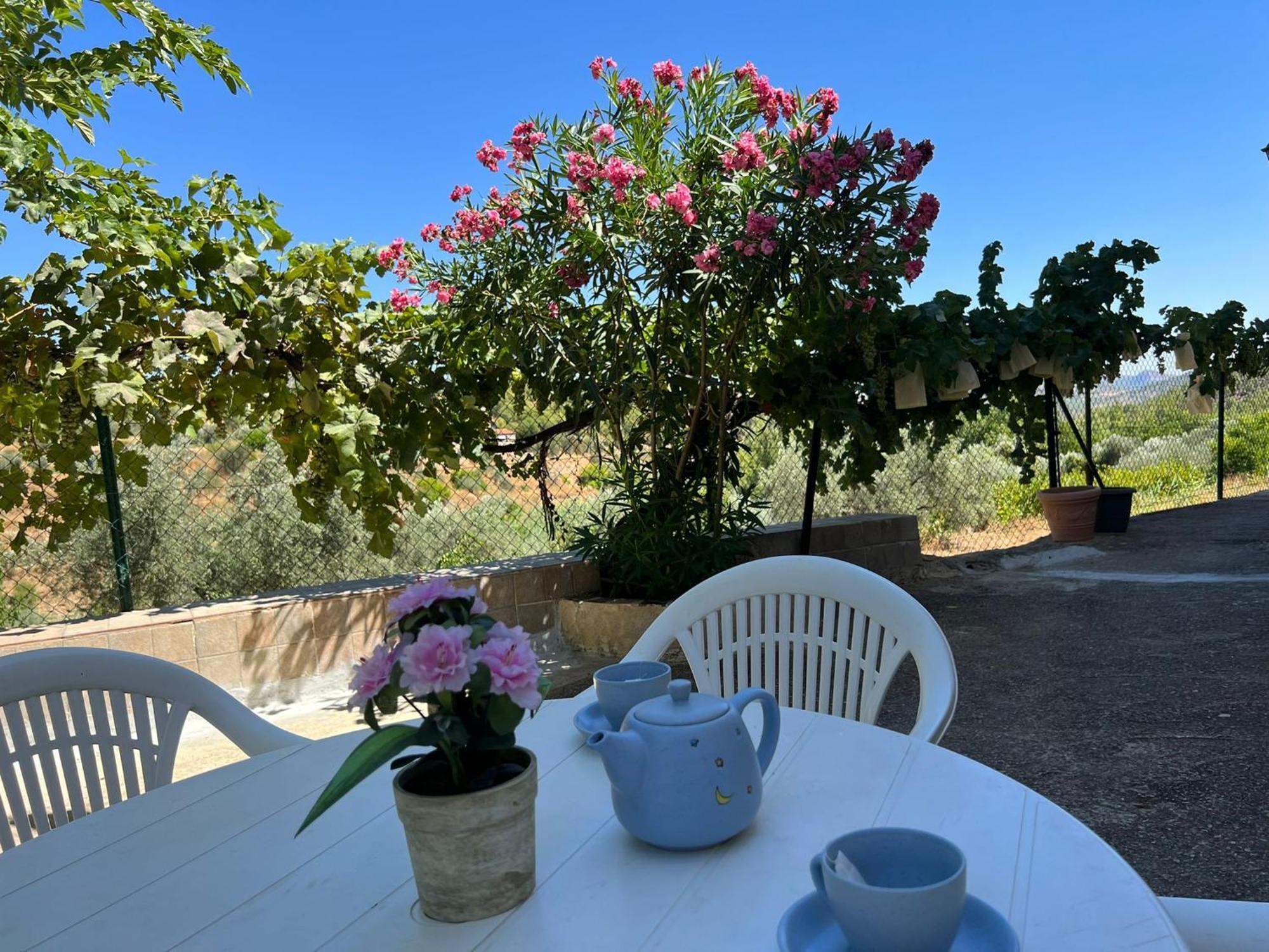 ייסטה Casa Rural Del Saz מראה חיצוני תמונה